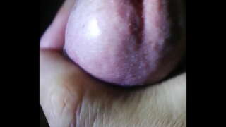 Thu dam ban nhieu tinh voi quan Lut em nhi