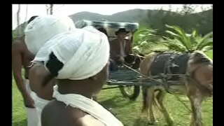 Als Negras da senzala